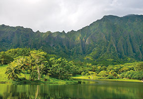 HAWAIIAN STYLE MAGAZINE REVIEWS PHOTOGRAPHIC MONOGRAPH BY DAVID LEASER