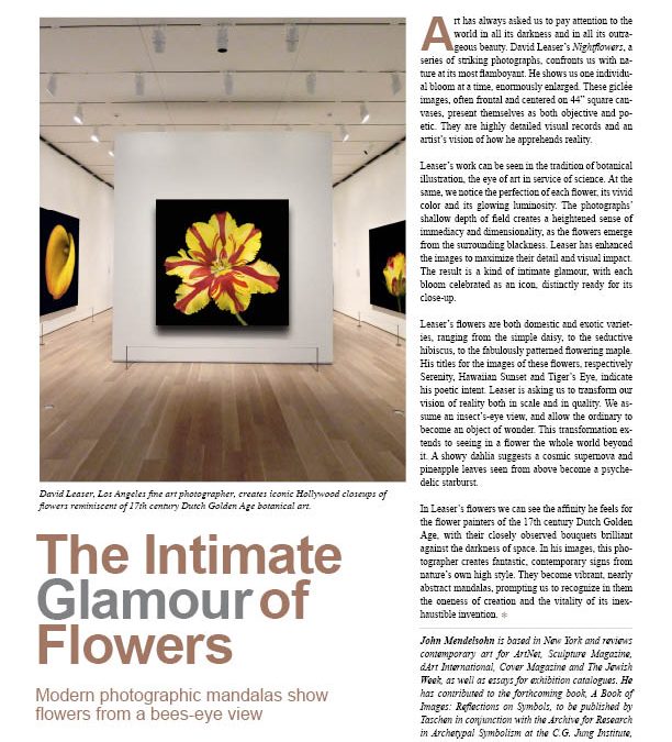 THE INTIMATE GLAMOUR OF FLOWERS BY NEW YORK ART CRITIC JOHN MENDELSOHN