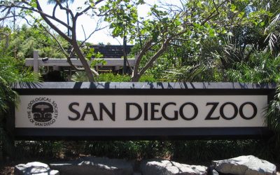 SAN DIEGO ZOO FEATURES DAVID LEASER IN BUDS ‘N BLOOMS LECTURE SERIES