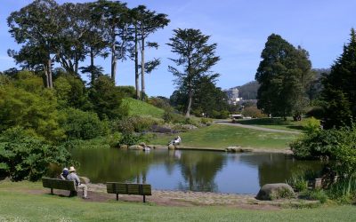 DAVID LEASER LECTURES AT SAN FRANCISCO BOTANICAL GARDEN