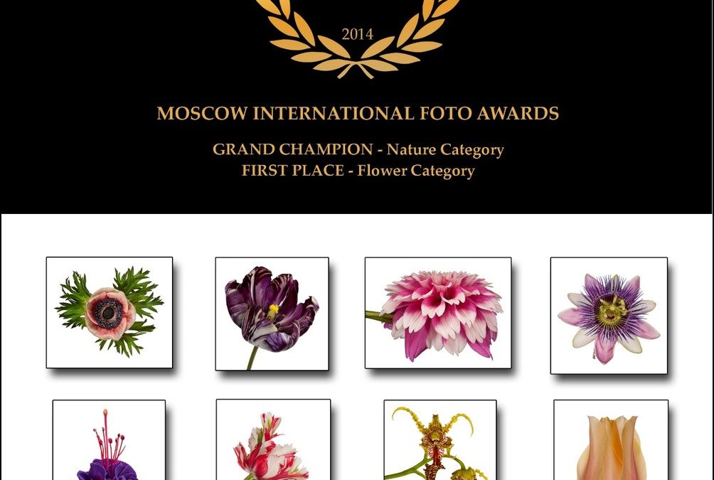 LEADING BOTANICAL PHOTOGRAPHER RECEIVES TOP AWARDS IN INTERNATIONAL COMPETITION