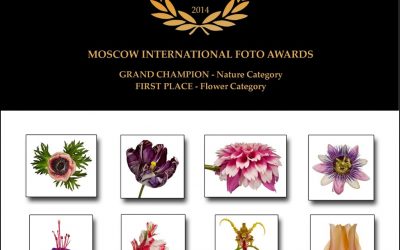 LEADING BOTANICAL PHOTOGRAPHER RECEIVES TOP AWARDS IN INTERNATIONAL COMPETITION